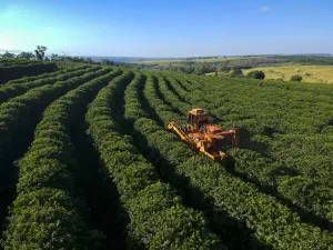 Agriculture