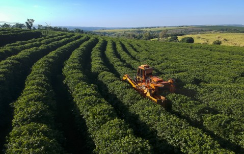 Agriculture