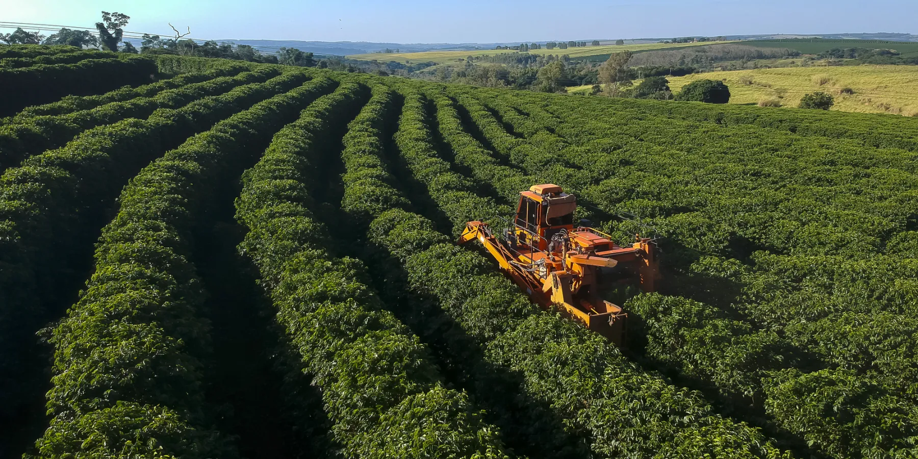 Agriculture